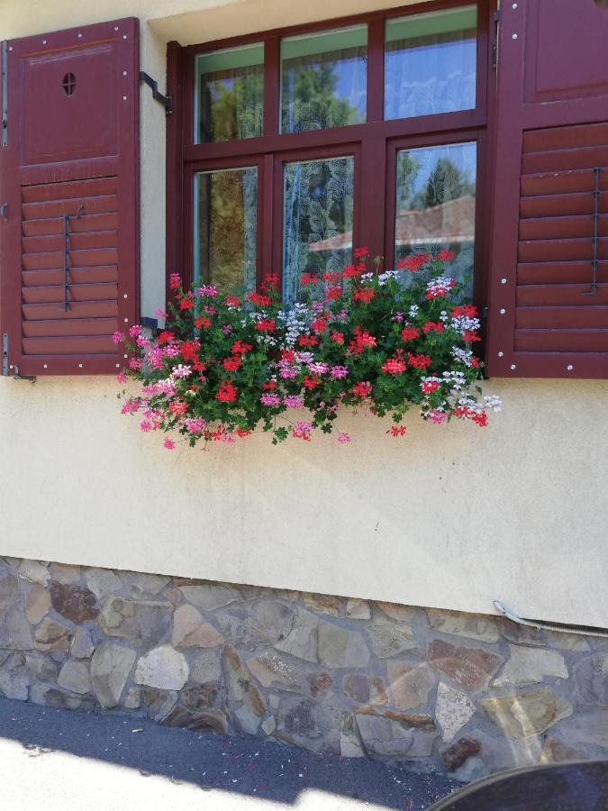 Apartament Roza Braşov Esterno foto