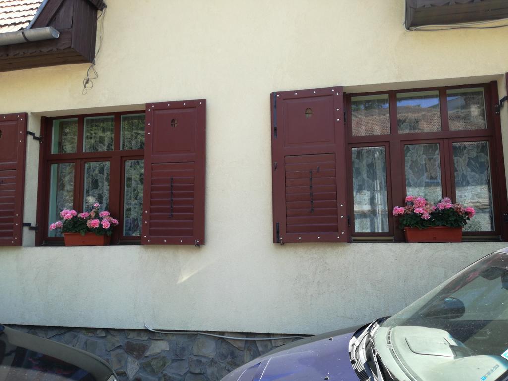 Apartament Roza Braşov Esterno foto