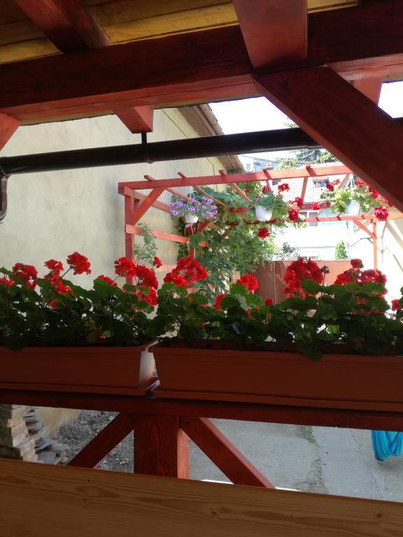 Apartament Roza Braşov Esterno foto